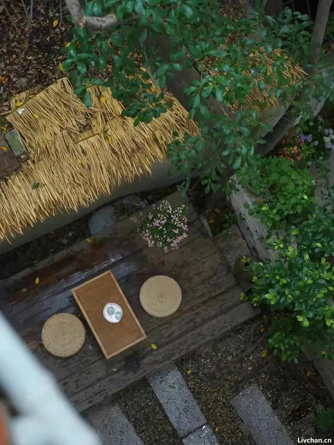 茶可载道，花可明意
