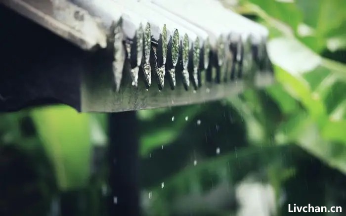 深到骨子里的痛，就是故乡回不去了