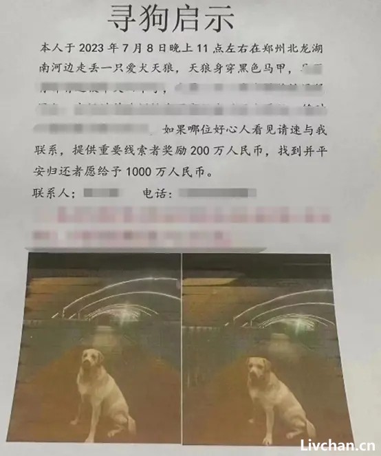 网事如风-2023年7月网事月报 网事如风-2023年7月网事月报