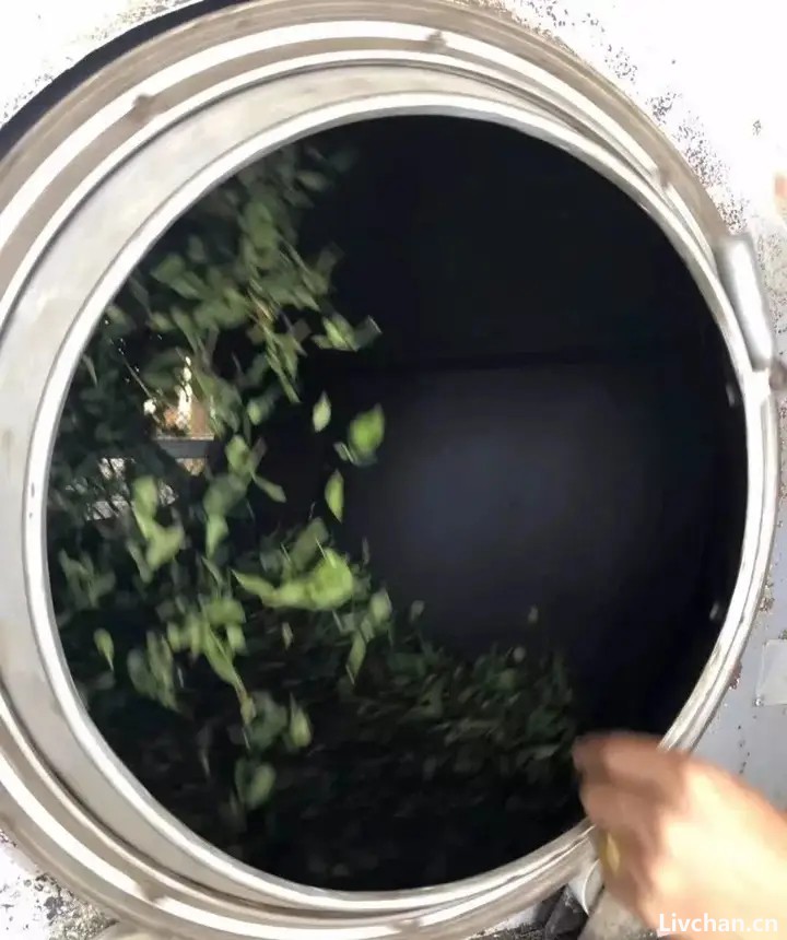 铁观音传统老工艺的好茶是什么样的？