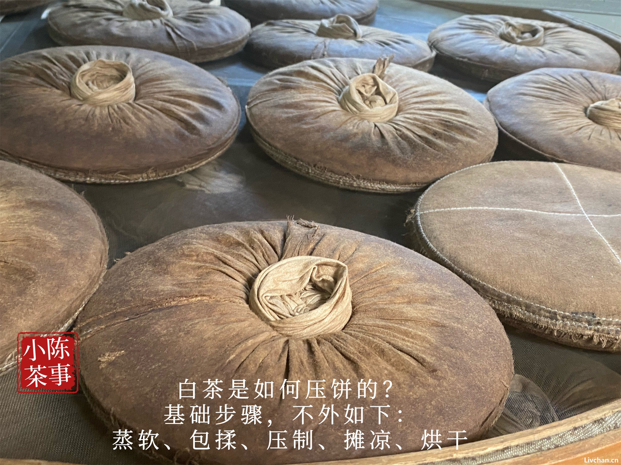 白茶里，为什么压饼的总是寿眉？白毫银针和白牡丹不能压饼吗？