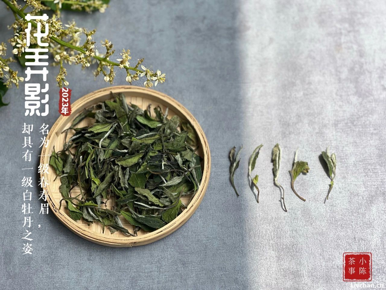 醉茶的力量