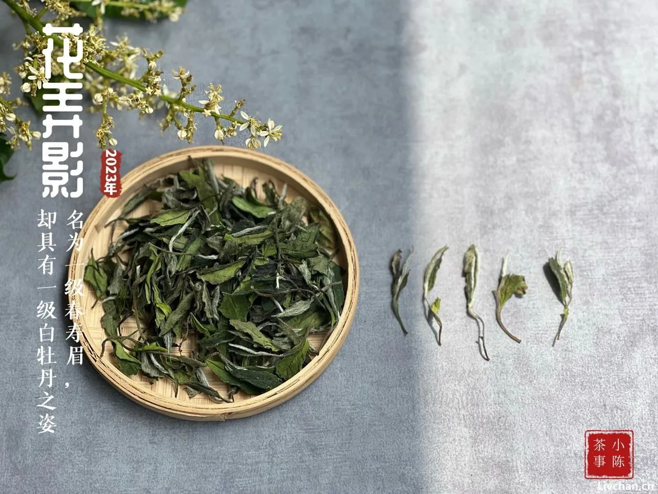 醉茶的力量