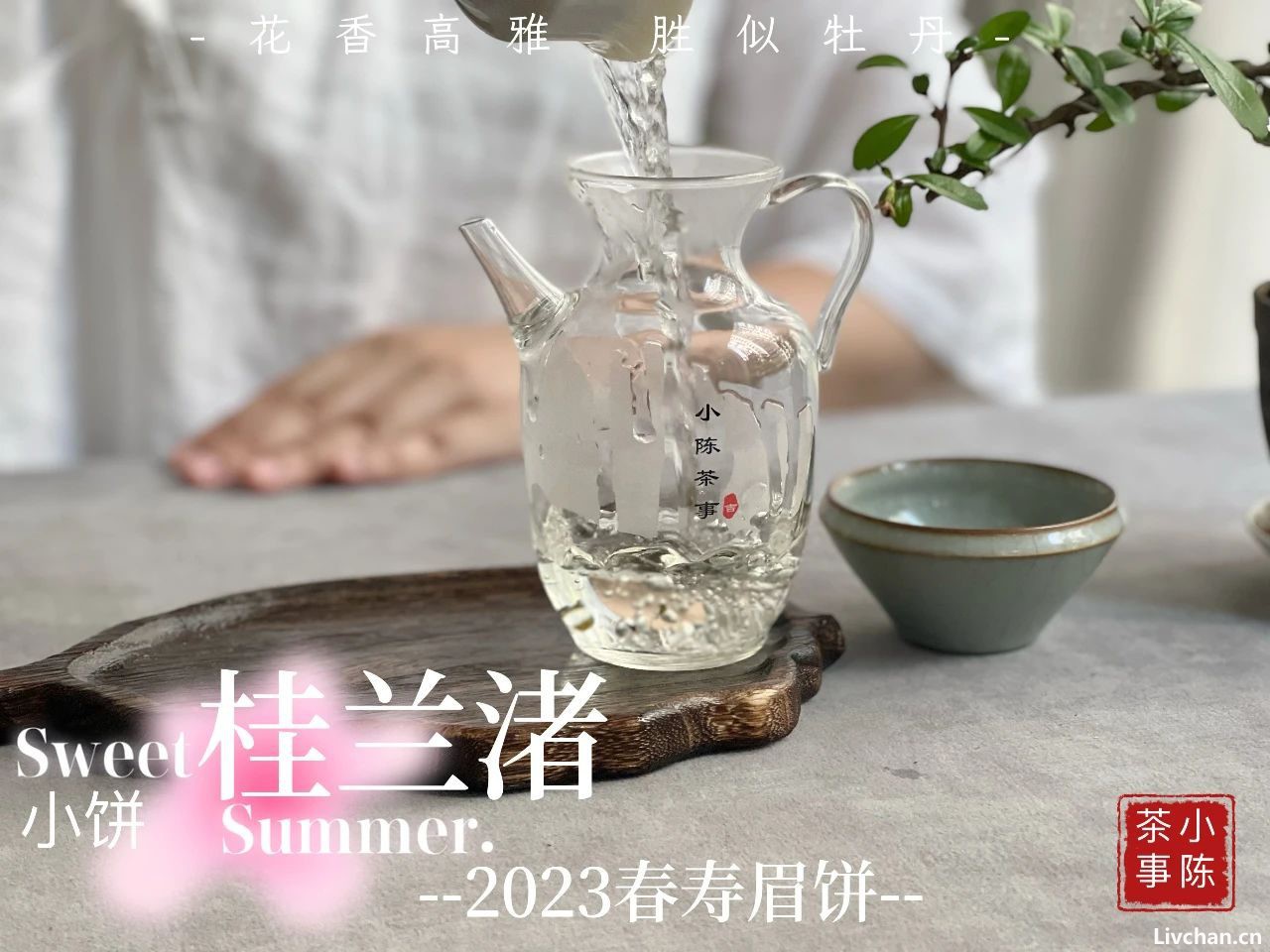 白茶里，为什么压饼的总是寿眉？白毫银针和白牡丹不能压饼吗？