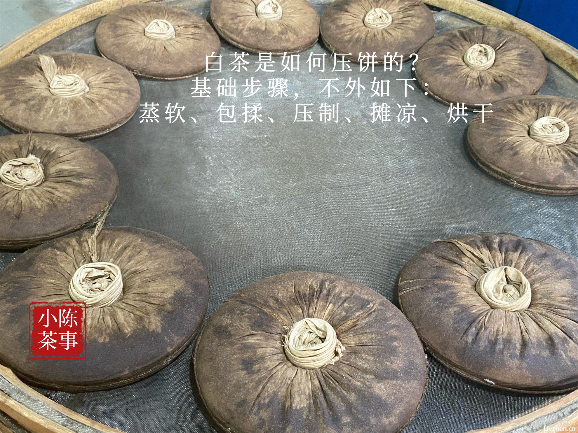 白茶里，为什么压饼的总是寿眉？白毫银针和白牡丹不能压饼吗？