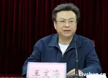 河南原司法厅长王文海指示假“中纪委干部”组建专案组，刑讯逼供落马政委