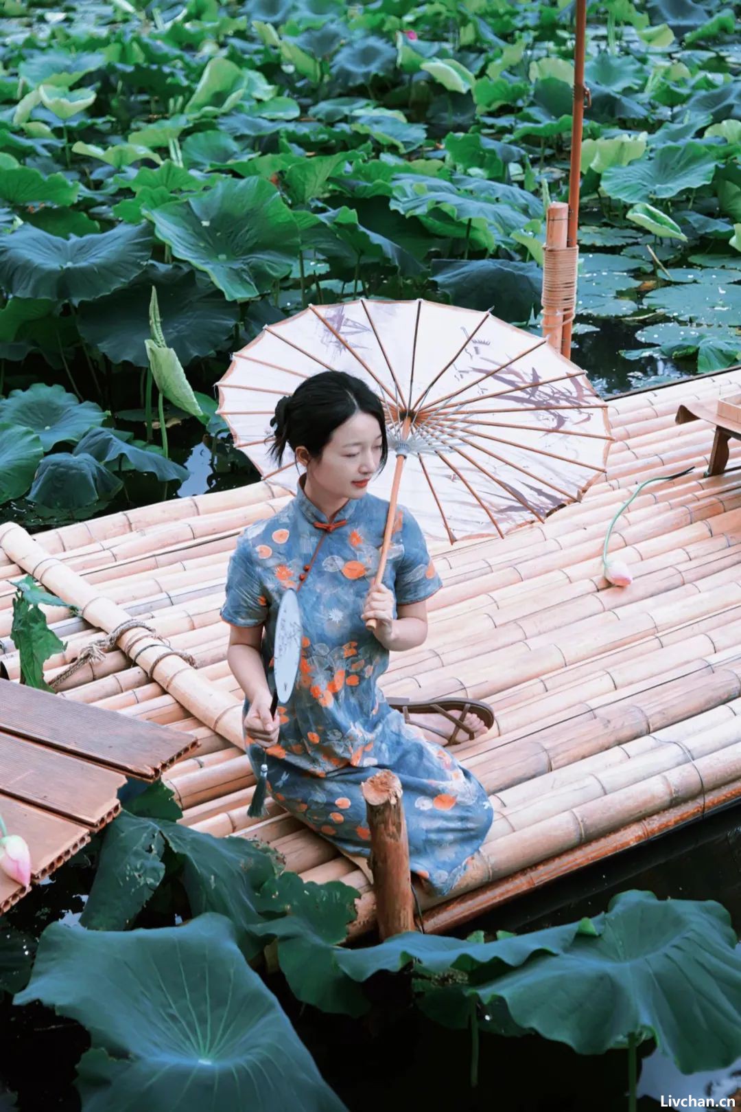 中国人的活法，全在茶里