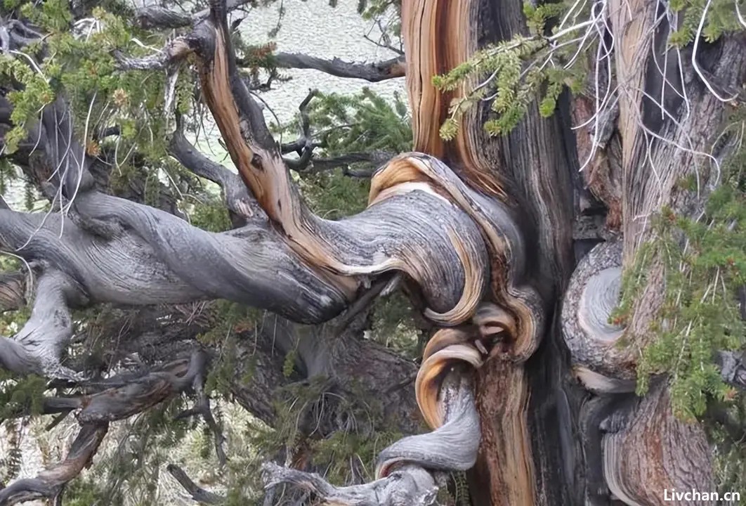 永远不要害怕孤独，独处有两个人生最大的好处