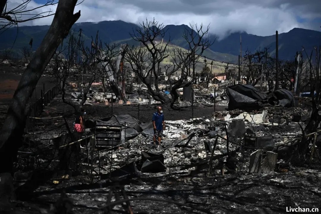 2023年8.8大火中的夏威夷街头生死逃亡：美国遭遇100年来最致命山火