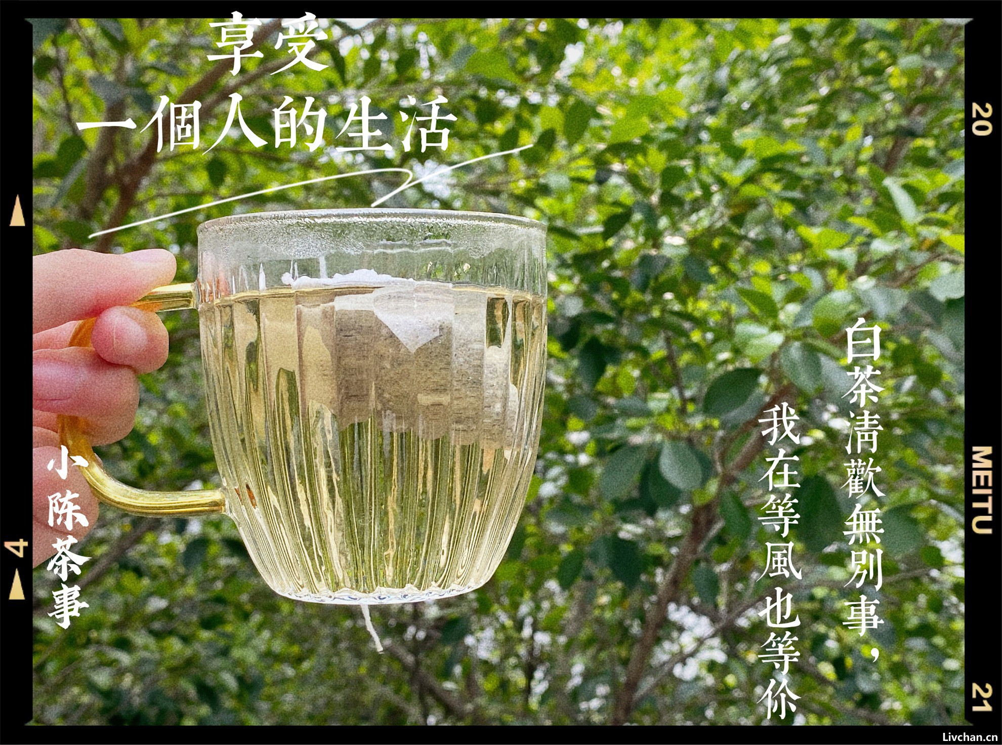 一次性把中国茶和老查人喜欢的紫砂壶讲清楚