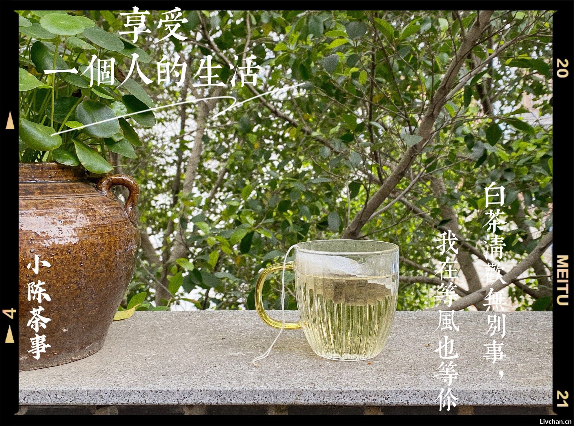 一次性把中国茶和老查人喜欢的紫砂壶讲清楚