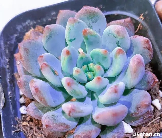 人这一生，果然如此！（写得很透彻）