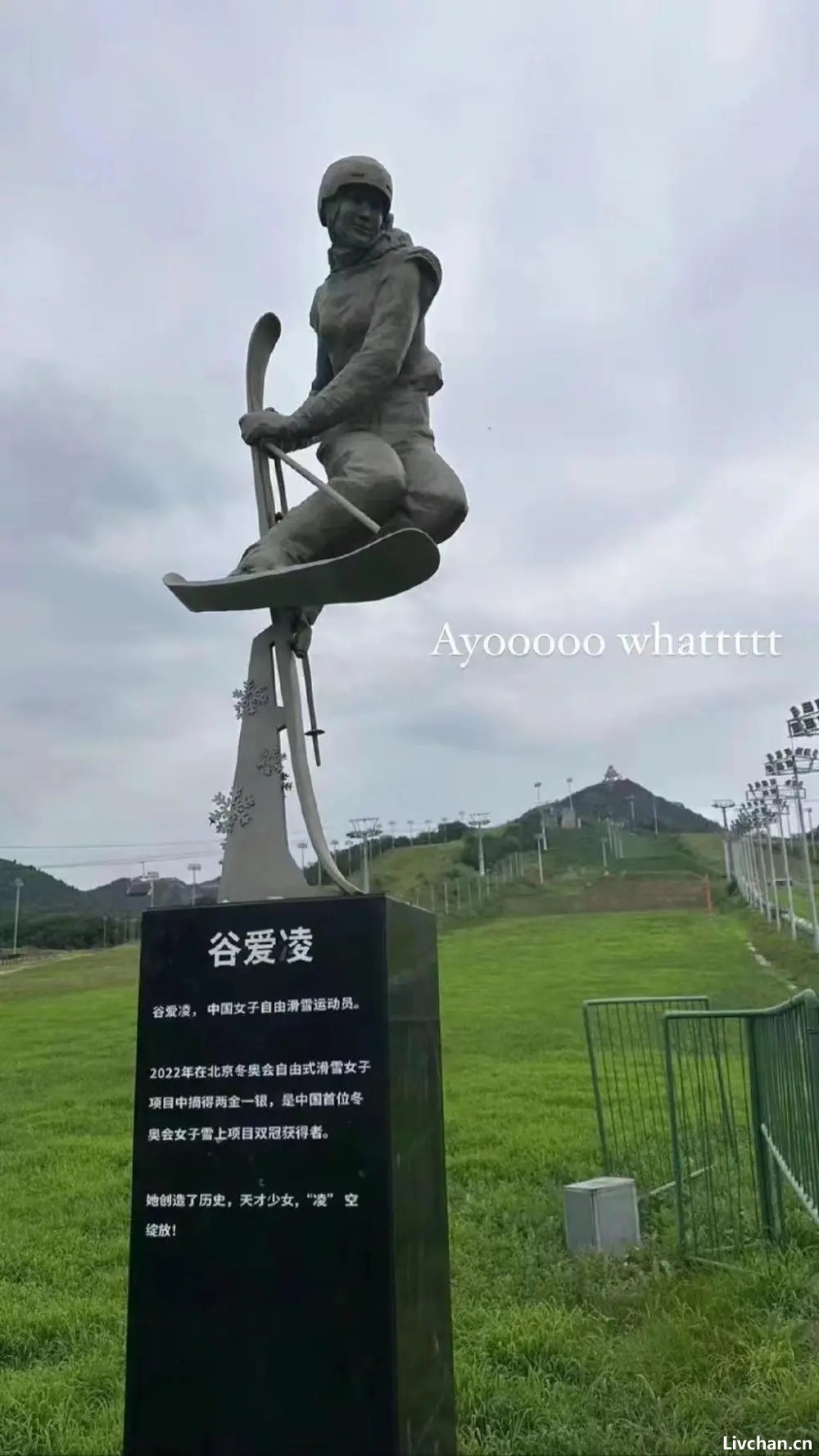 网事如风-2023年8月网事月报 