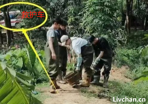 “吃人”的综艺，到底如何走到这一步？