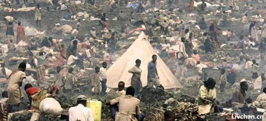 “非洲王”，五常之一的法国，对非洲的殖民统治力曾经有多强大？