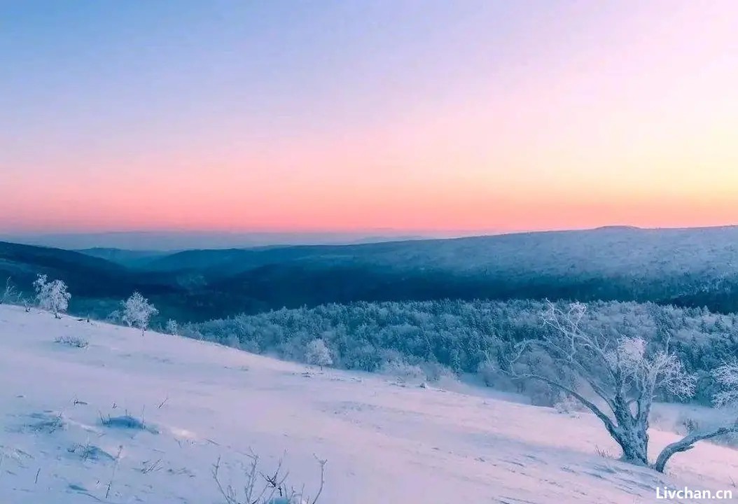 岑参的《白雪歌送武判官归京》等写边塞的六首唐诗，“雪景”最美开篇即是经典名句