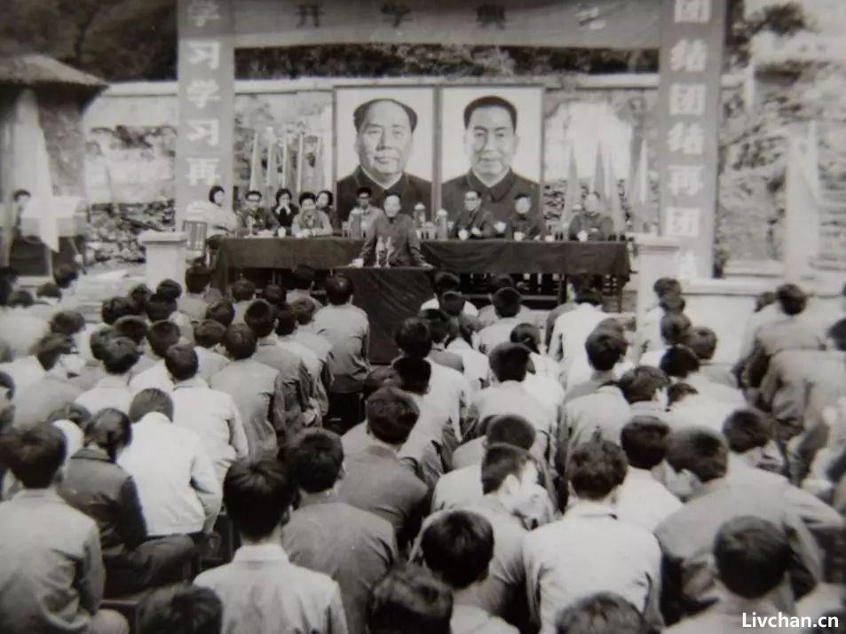 摇荡的钟摆  · 极简改革开放史 ·