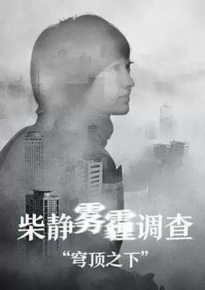 央视主持人柴静：从公知女神到跌落神坛，她到底做了什么？