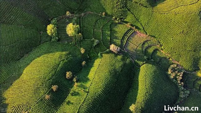 中国唯一“永久宜居城市”，一年劝退200万人