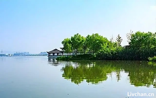李白<<寄远其十>>及十首野渡的古诗词赏析