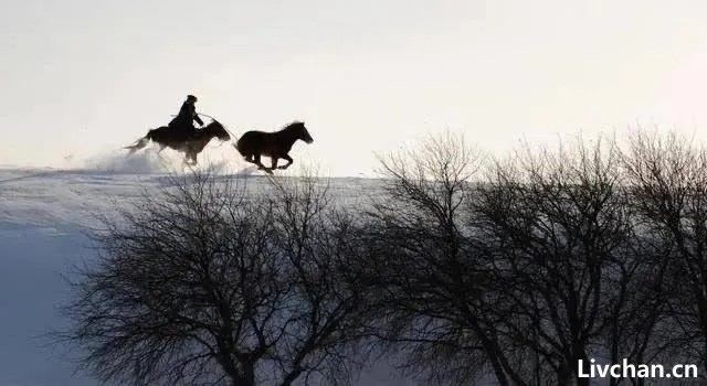 边塞诗人高适四首代表作，首首经典，满怀豪情