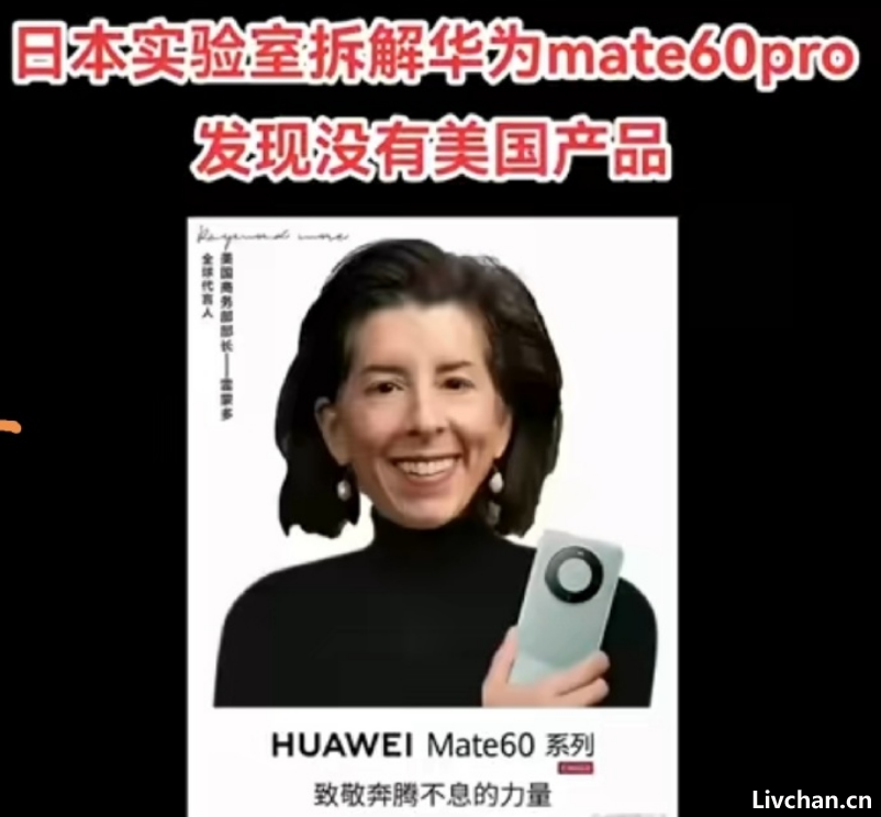 网事如风-2023年8月网事月报 