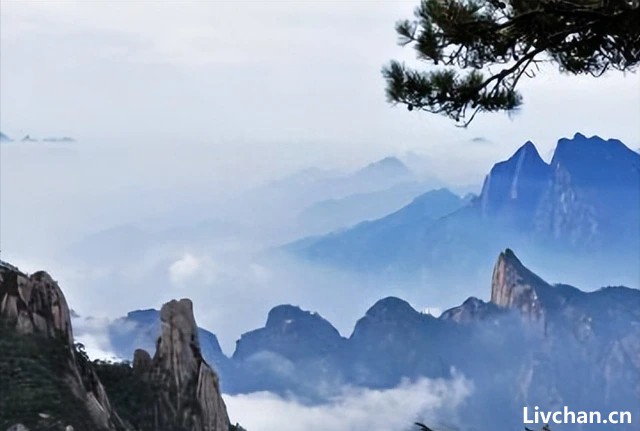 王维的《画》文征明的《东禅寺》都充满禅意