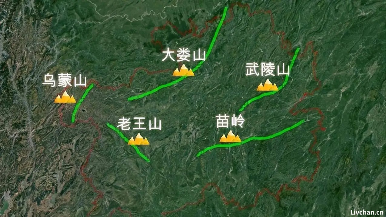 带你打卡“八山一水一分田”的贵州，发现千年金丝楠木，价值不可估量！
