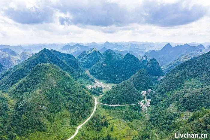 带你打卡“八山一水一分田”的贵州，发现千年金丝楠木，价值不可估量！