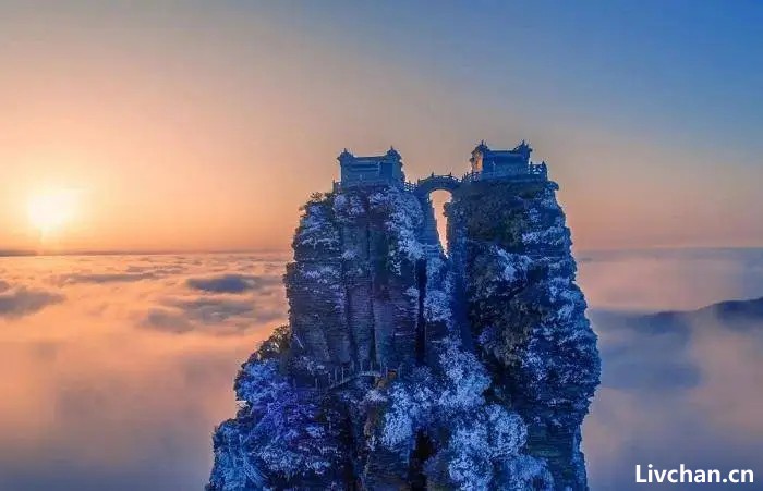 带你打卡“八山一水一分田”的贵州，发现千年金丝楠木，价值不可估量！