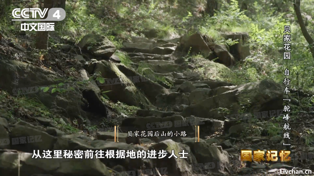 开辟自行车“驼峰航线”支援中国抗战的法国医生贝熙叶，晚年收获惊世骇俗爱情