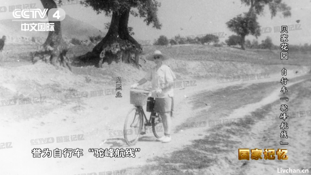 开辟自行车“驼峰航线”支援中国抗战的法国医生贝熙叶，晚年收获惊世骇俗爱情