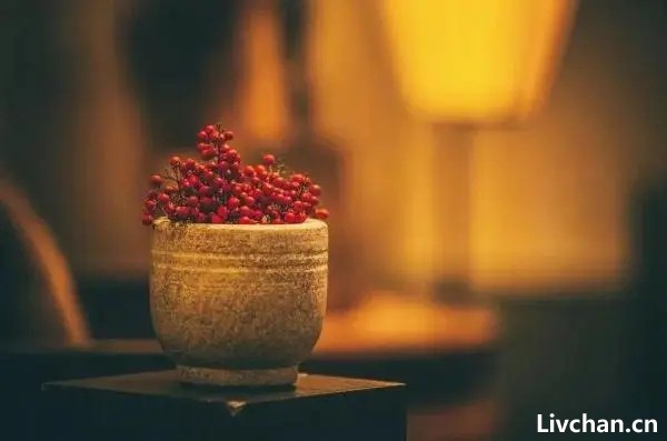 不完美，才是人间真实，抱怨是一种毒药
