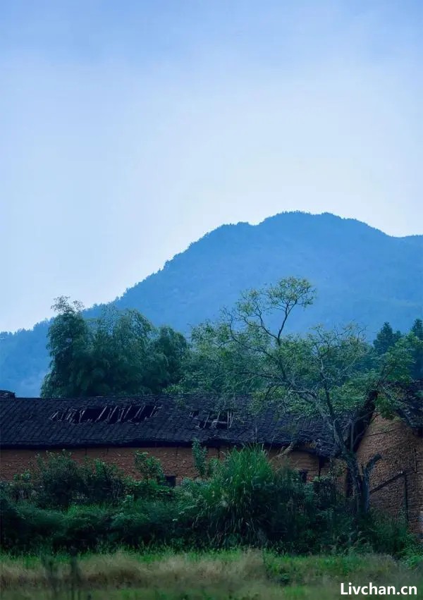 王驾：一首即兴写景诗流传千古