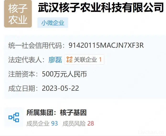 “核酸大王”张核子进军预制菜，核子基因又踏上风口