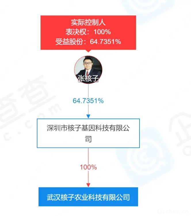 “核酸大王”张核子进军预制菜，核子基因又踏上风口