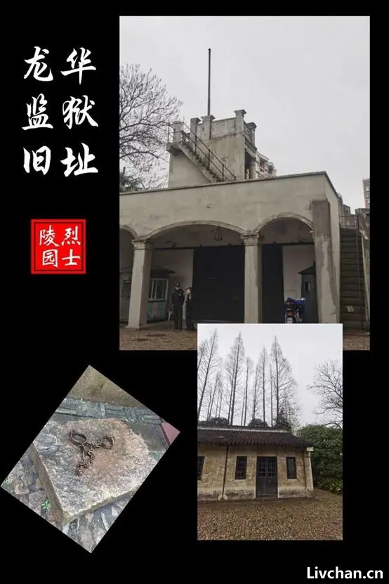 王明回忆的关于顾顺章和向忠发的叛变以及二人叛变后的一些细节