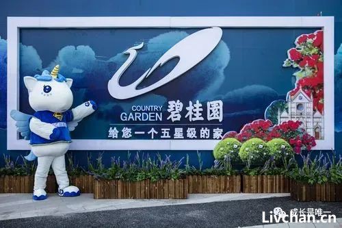 警惕碧桂园！继许家印的恒大爆雷之后，可能还有一个大雷在后面等着......