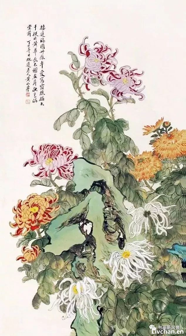 十幅菊画，十首菊诗！美不胜收！