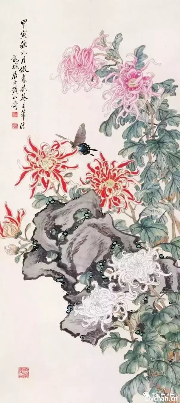 十幅菊画，十首菊诗！美不胜收！