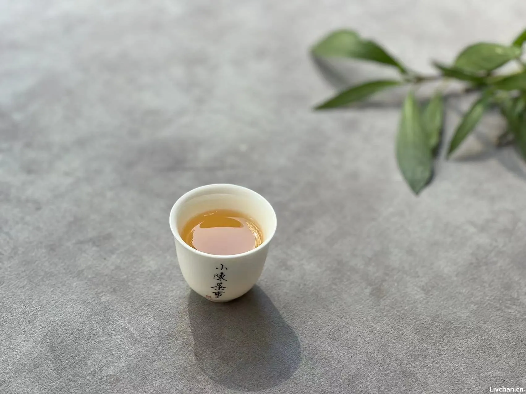 白茶的寿眉,乌龙茶的铁观音,再加工茶的茉莉花茶,都是低端茶?