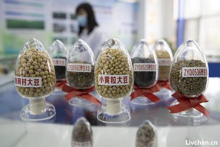 小心“战略内鬼”，窃密少、隐藏深，却破坏国家长远战略!