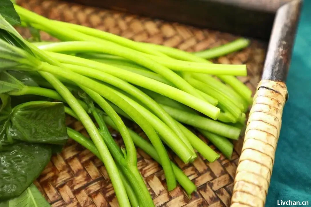 被称为“长寿菜”的红薯的根茎叶子的各种吃法