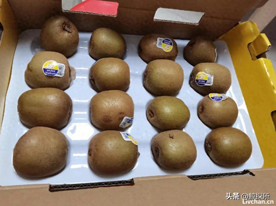 从“水果之王”变成人人嫌弃的“恶果”，猕猴桃到底经历了什么？