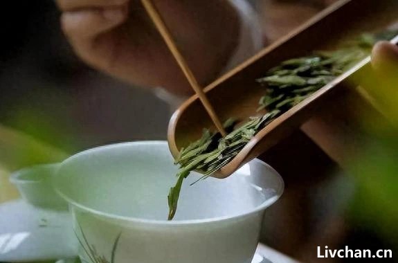 这样泡茶才好喝