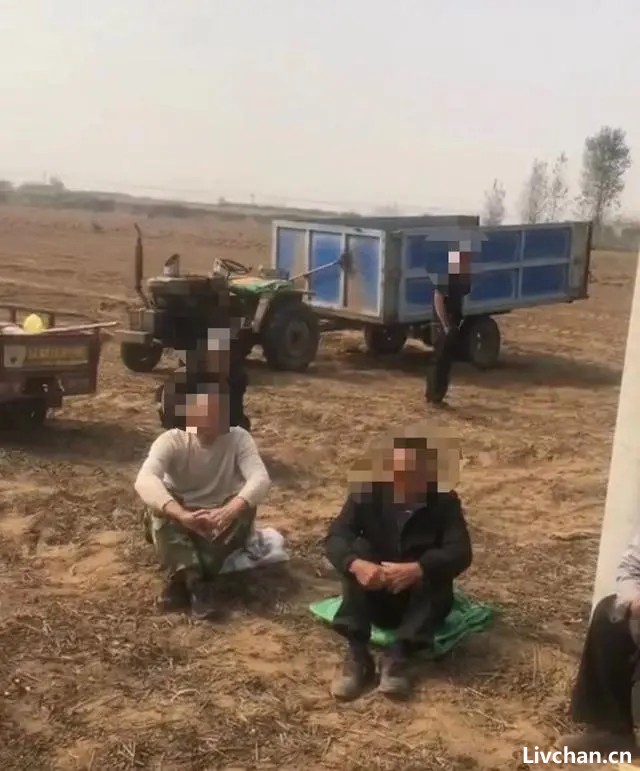 因噎废食——河南延津因领导检查、扬尘太大，乡政府禁止农民机械设备收花生