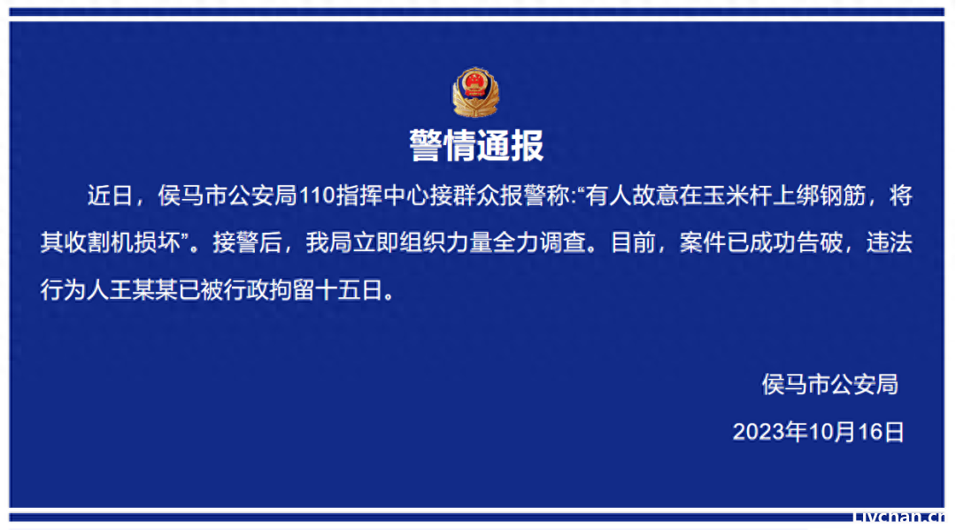网事如风-2023年10月网事月报