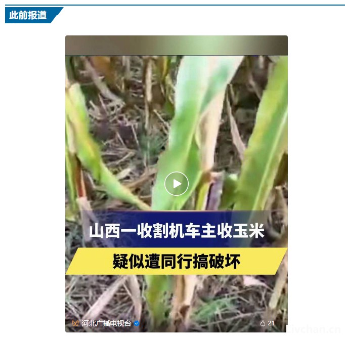 网事如风-2023年10月网事月报