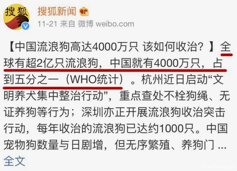成都女童被恶犬咬伤事件：小孩丢肾的概率非常高
