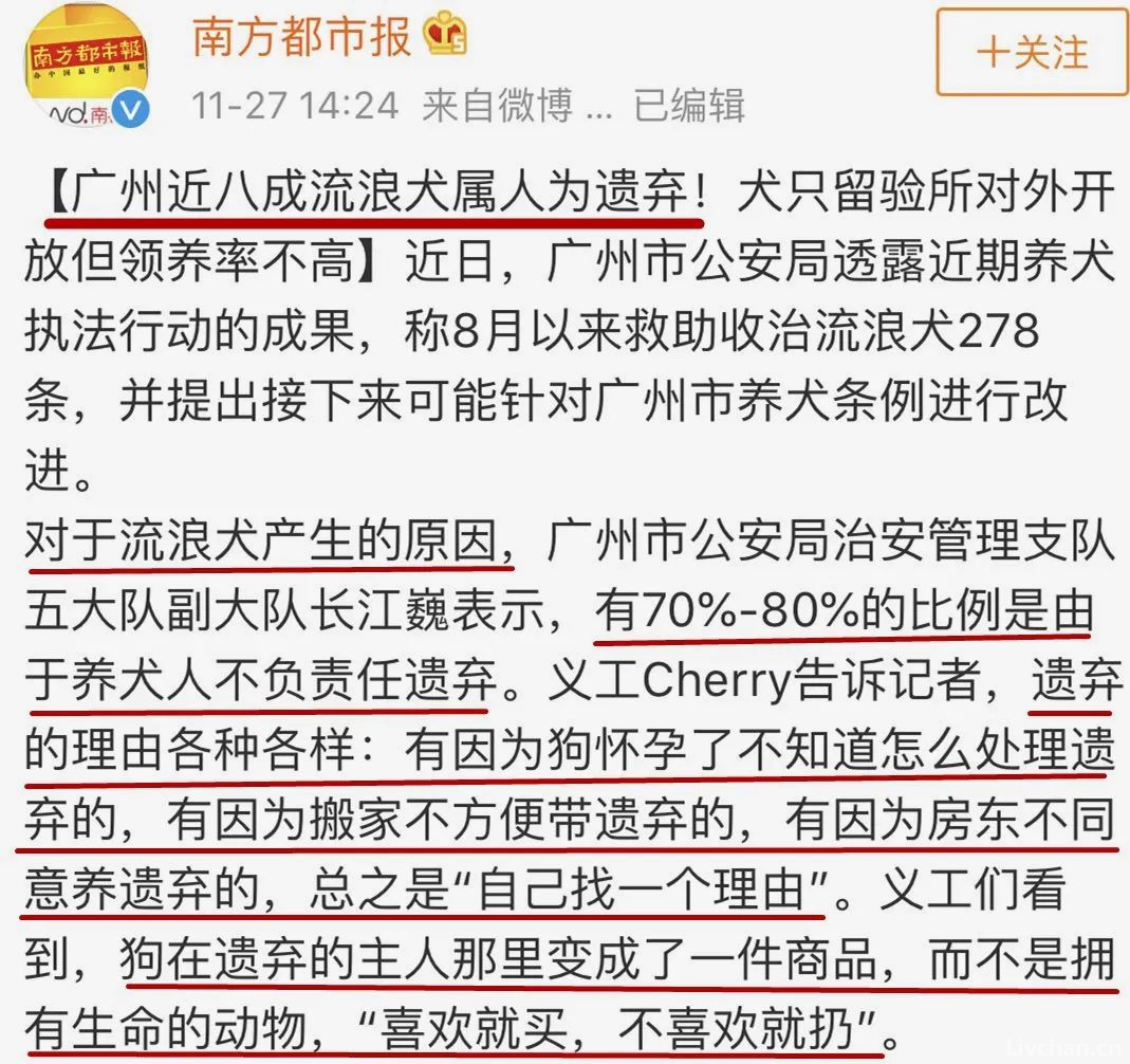 成都女童被恶犬咬伤事件：小孩丢肾的概率非常高